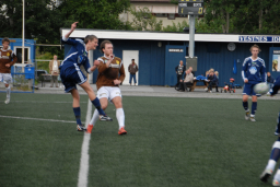 vvileidsvЖg2012 043